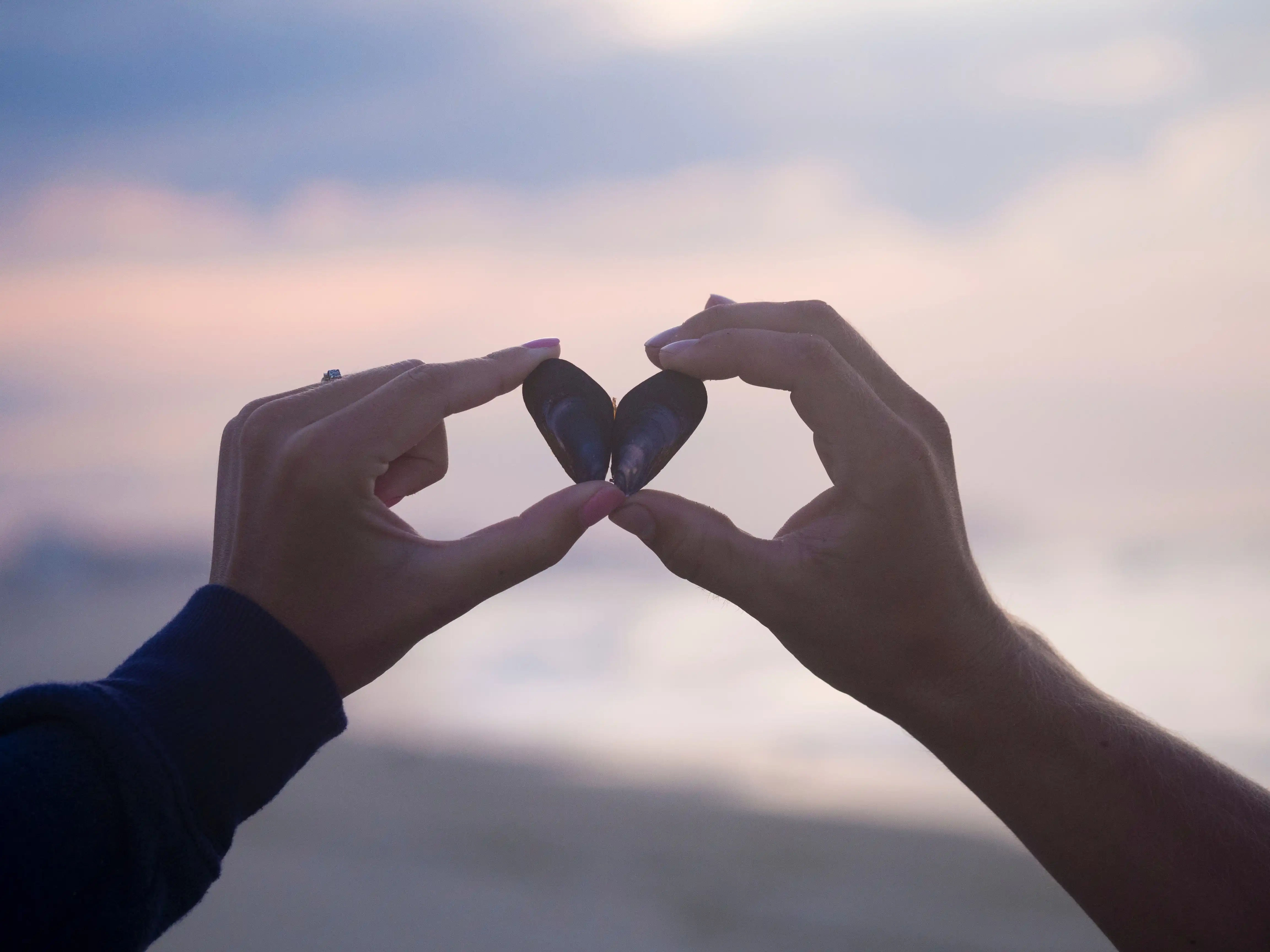 Two hands holding shells